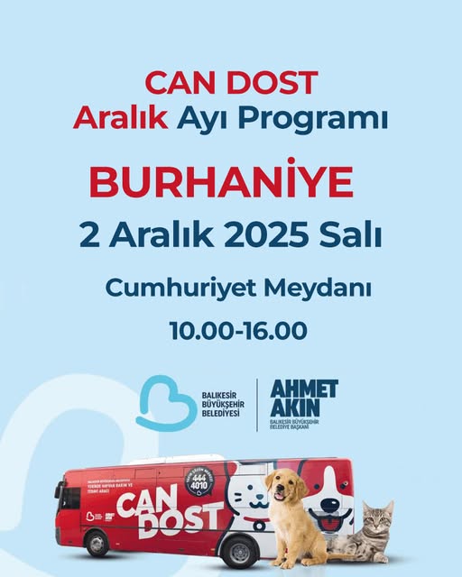 Burhaniye'de Sokak Hayvanlarına Ücretsiz Sağlık Taraması