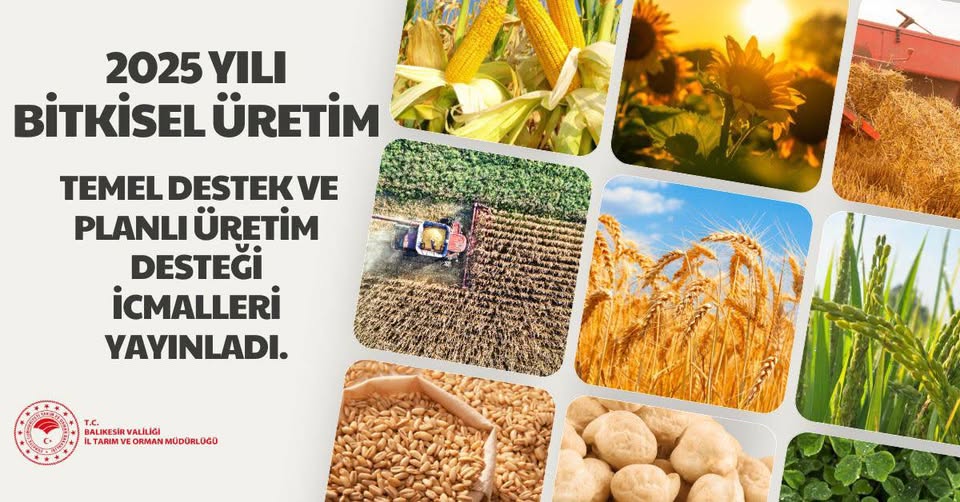 Balıkesir'de 2025 Yılı Bitkisel Üretim Destekleri İcmalleri Açıklandı
