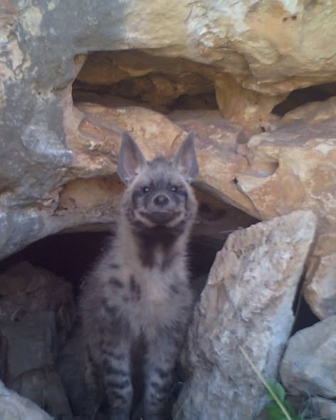Bursa'da Doğanın Gizli Döngüsü: Aynı Noktada Farklı Zamanlar