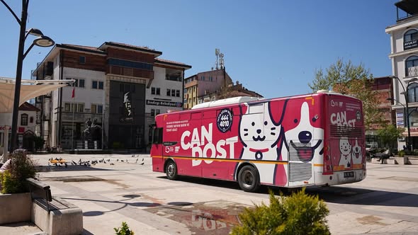 Sındırgı'da Ücretsiz Hayvan Tedavisi: Can Dost Aracı Bugün Hizmet Veriyor