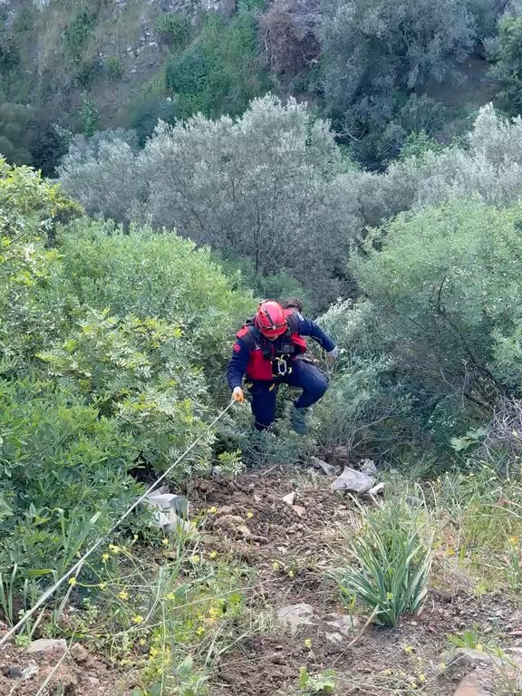 Ayvacık'ta Kaza: Şarampole Yuvarlanan Araçtaki Sürücü 60 Metre Kurtarıldı