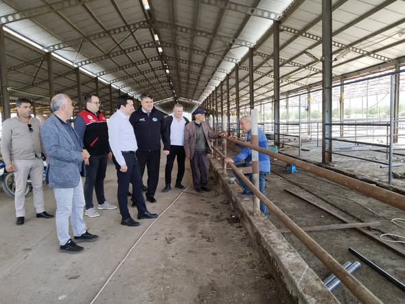 Havran'a Körfez Bölgesi'nin Tek Ruhsatlı Hayvan Pazarı Geliyor