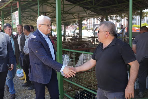 Burhaniye'de Kurban Bayramı Öncesi Hayvan Pazarı Denetimi
