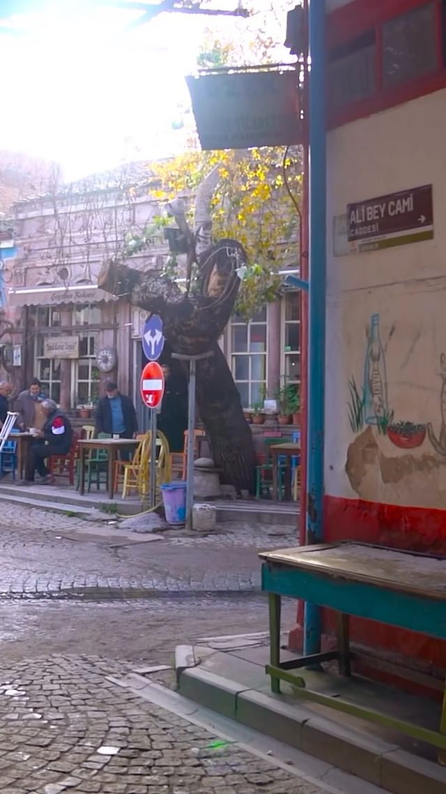 Ayvalık, Sakin Doğası ve Huzurlu Atmosferiyle Yeni Bir Haftaya Merhaba Diyor