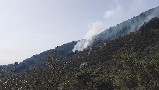 Edremit Orman İşletme Müdürlüğü, Pınarbaşı Mahallesi'ndeki Orman Yangınına Müdahale Etti