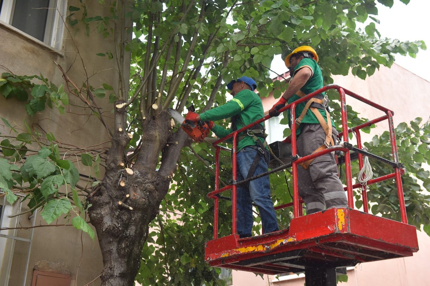 Yıldırım Belediyesi Yeşil Doku için Ağaç Budama Çalışmalarını Sürdürüyor