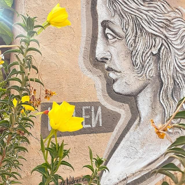 Tevfikiye Köyü: Troya Efsanesinin Duvarlarındaki İzler