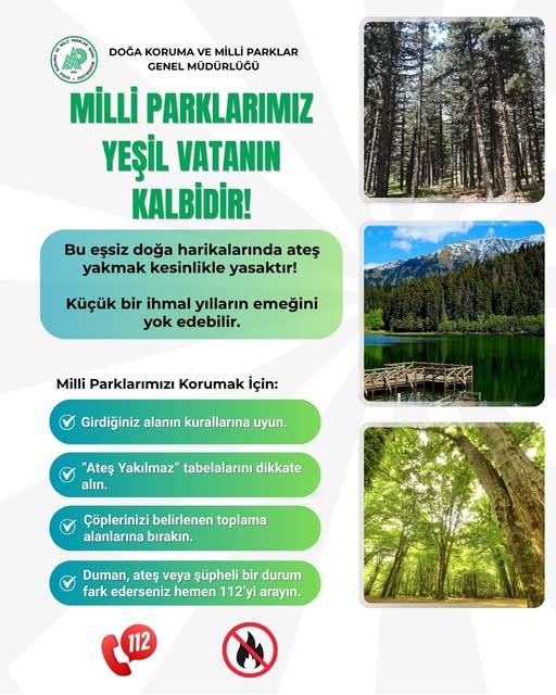 Bursa'da Orman Yangınlarına Karşı Doğayı Koruma Çağrısı