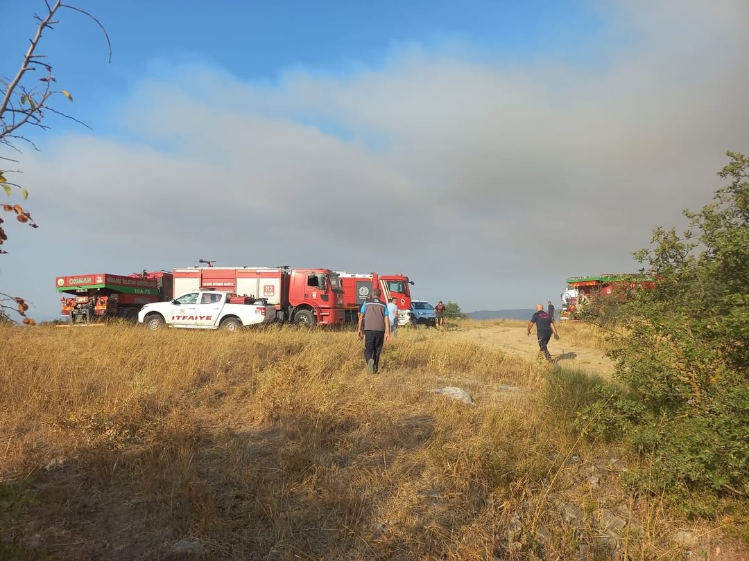 Balıkesir'de Arazi Yangını: 12 Araç Olay Yerine Sevk Edildi